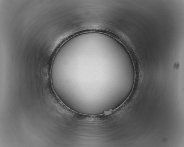 X0000112431218200909041428