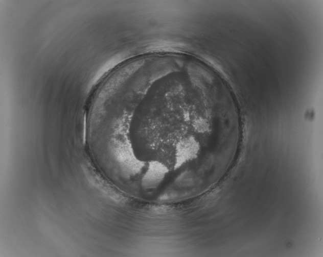 X0000112431219200909041428