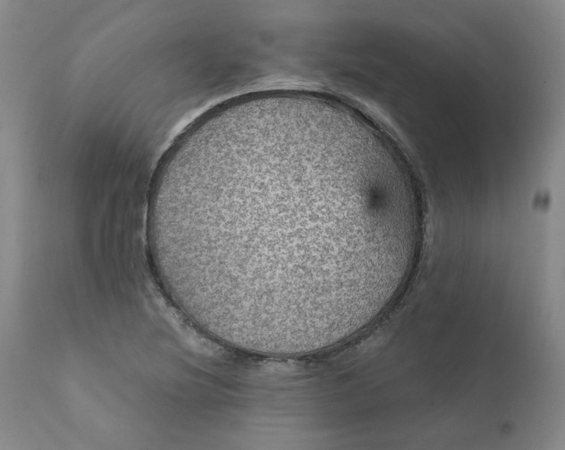 X0000112431220200909041428