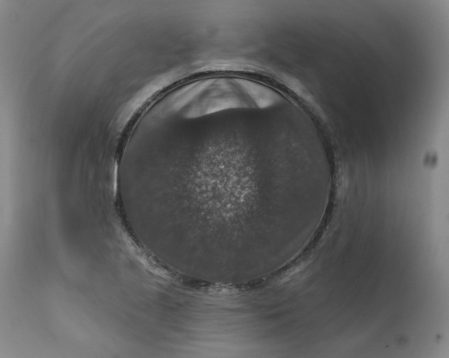 X0000112431221200909041428