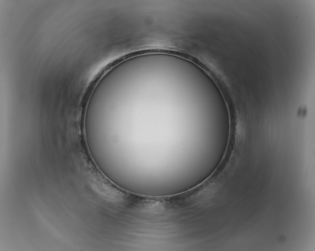 X0000112431222200909041428