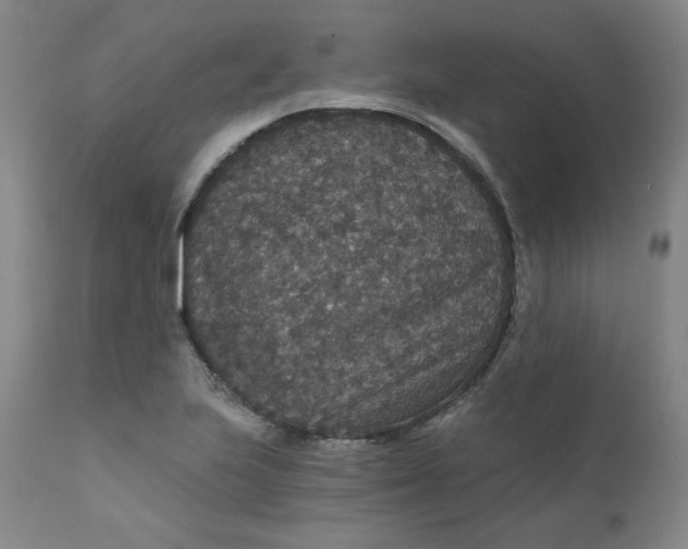 X0000112431223200909041428