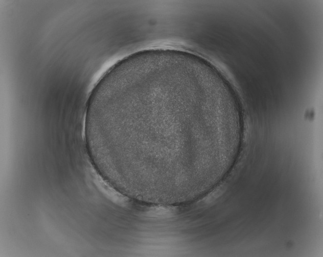 X0000112431224200909041428