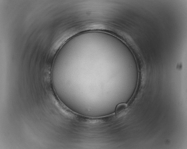 X0000112431225200909041428