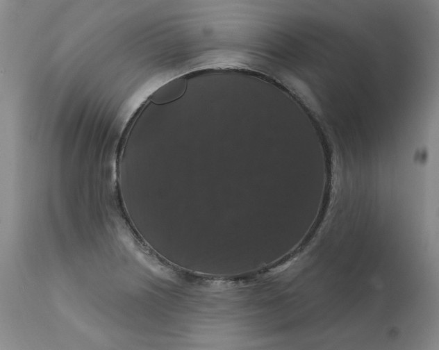 X0000112431226200909041428