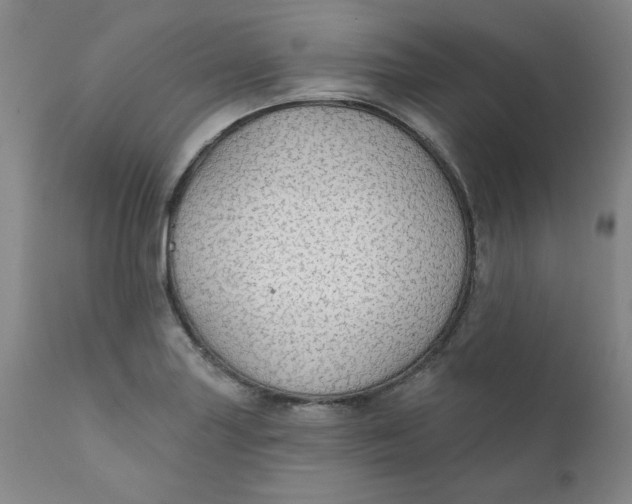 X0000112431227200909041428