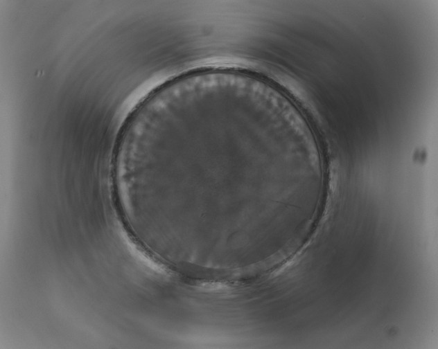 X0000112431229200909041428