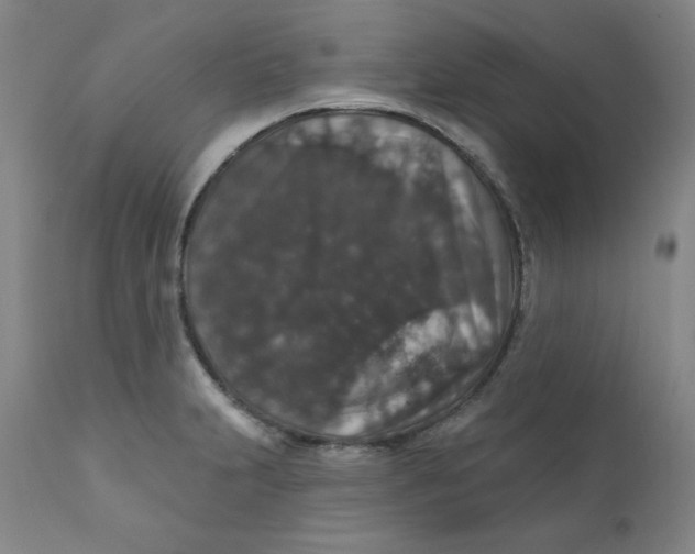 X0000112431231200909041428