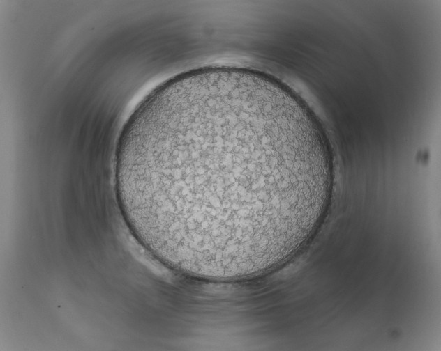 X0000112431232200909041428