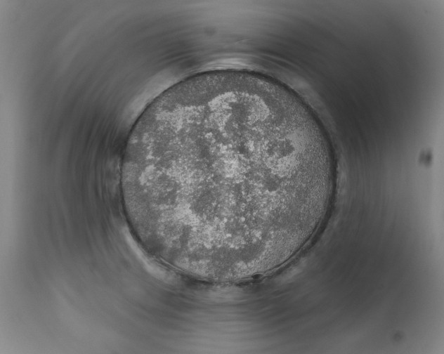 X0000112431233200909041428