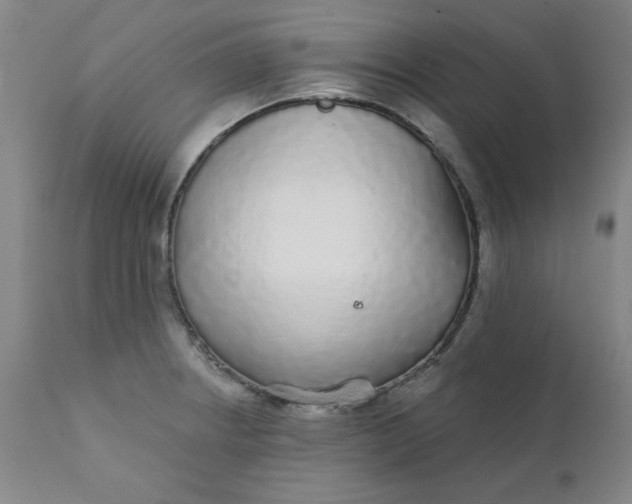 X0000112431234200909041428