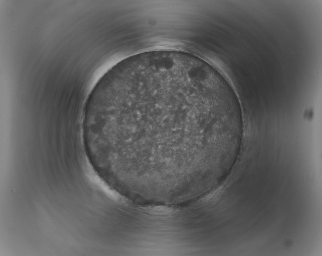 X0000112431235200909041428