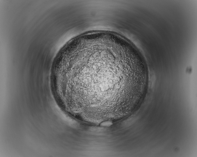 X0000112431237200909041428