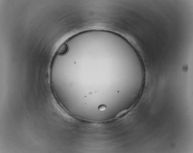 X0000112431238200909041428