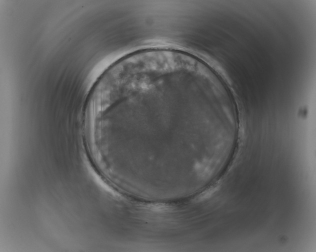 X0000112431239200909041429