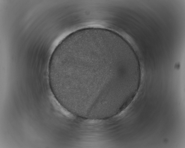 X0000112431240200909041429