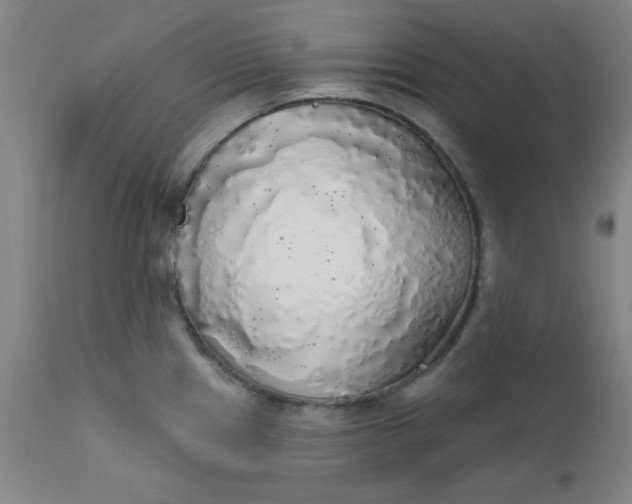 X0000112431241200909041429