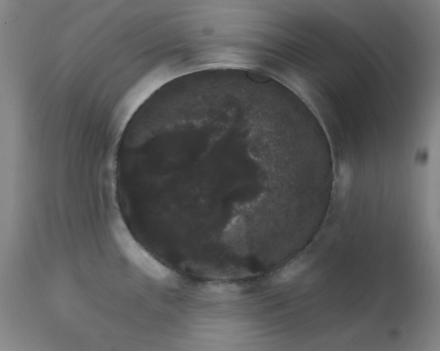 X0000112431243200909041429