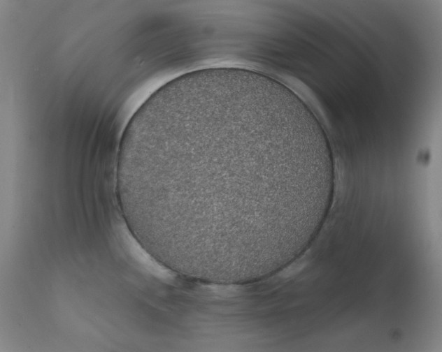 X0000112431244200909041429