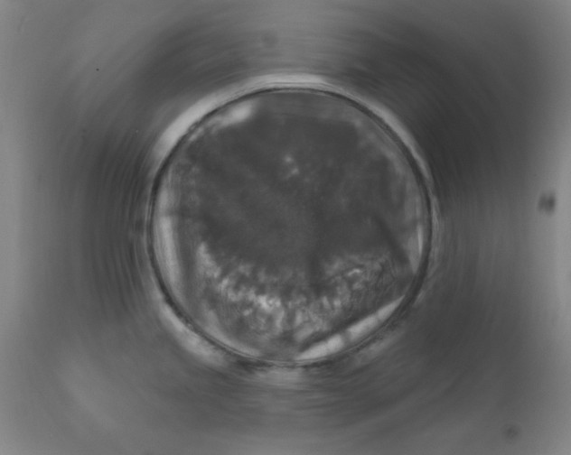 X0000112431245200909041429