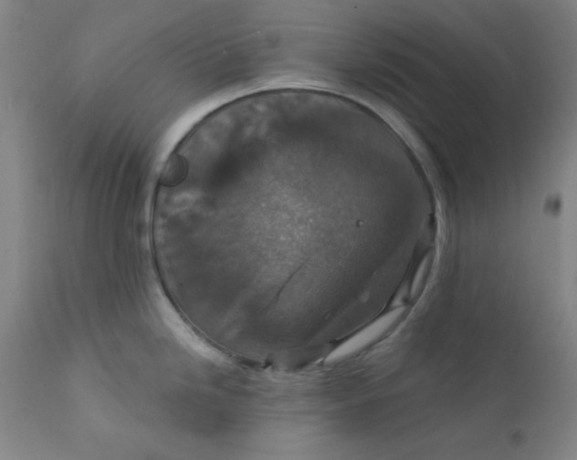 X0000112431246200909041429