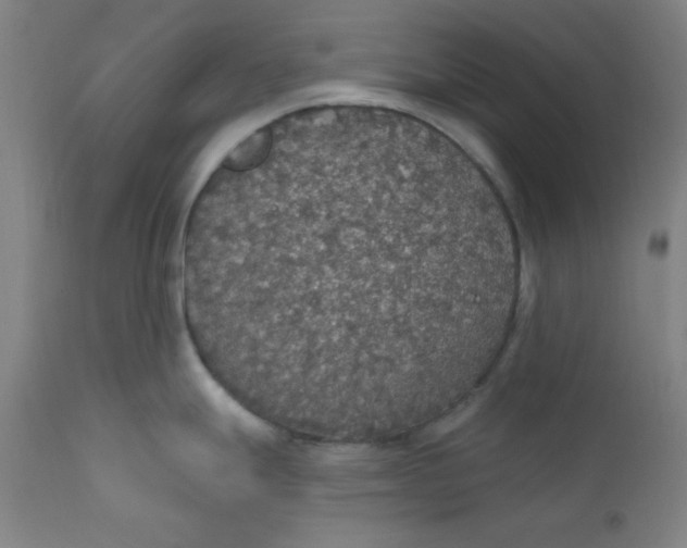 X0000112431247200909041429