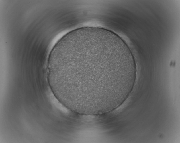 X0000112431248200909041429