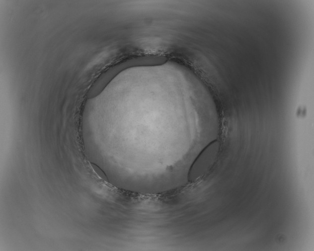 X0000112431249200909041428