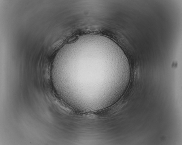 X0000112431250200909041428