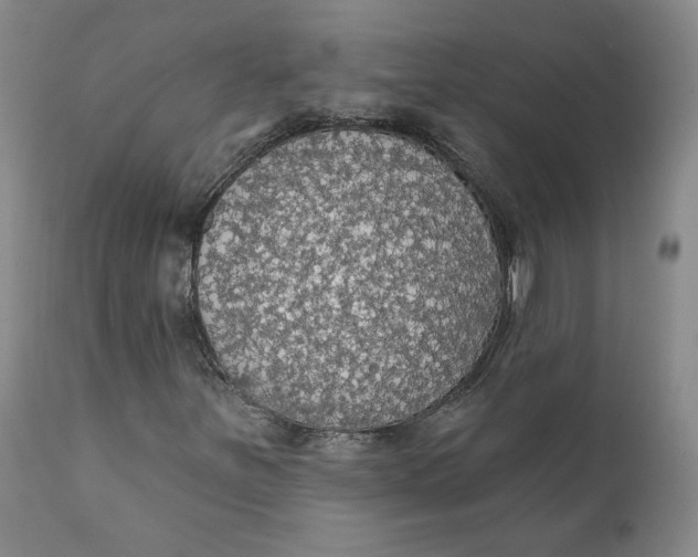 X0000112431251200909041428