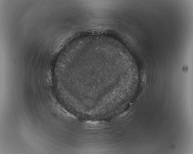 X0000112431252200909041428