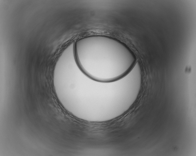 X0000112431253200909041428