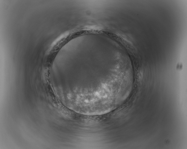 X0000112431254200909041428