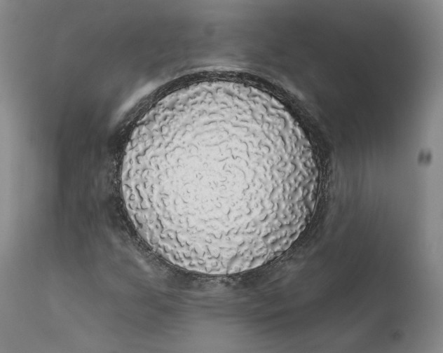 X0000112431255200909041428