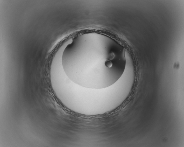 X0000112431256200909041428