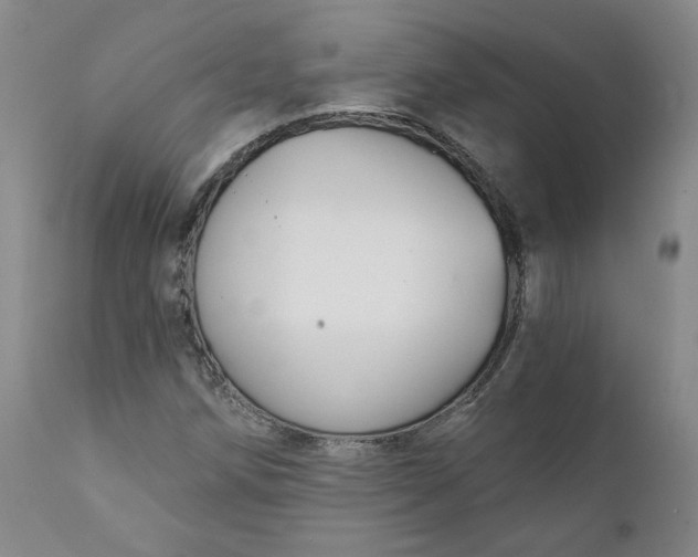 X0000112431258200909041427