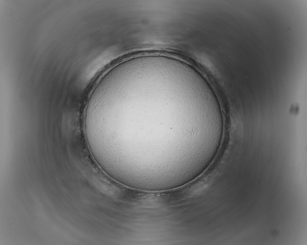 X0000112431259200909041427