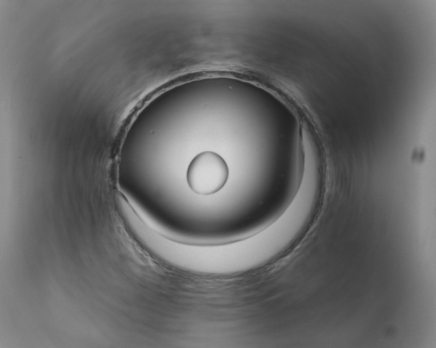 X0000112431260200909041427