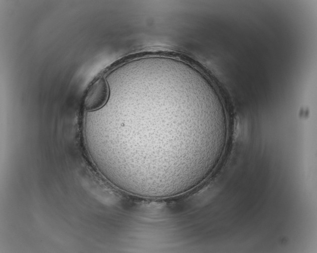 X0000112431261200909041427