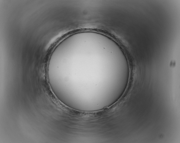 X0000112431262200909041427