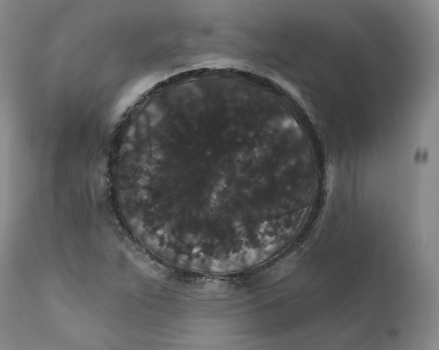 X0000112431263200909041427