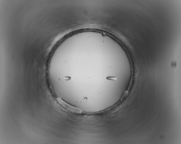 X0000112431264200909041427