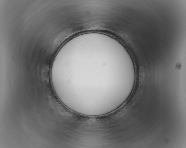 X0000112431265200909041427