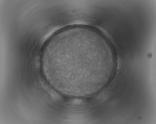 X0000112431266200909041427