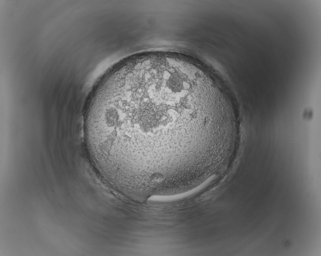 X0000112431267200909041427