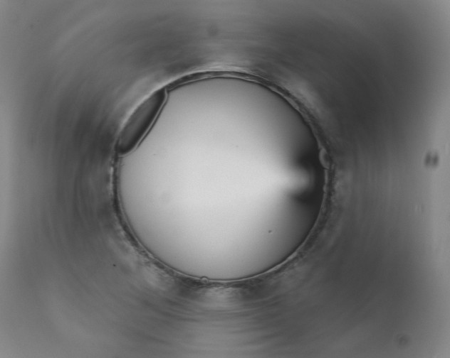 X0000112431268200909041427