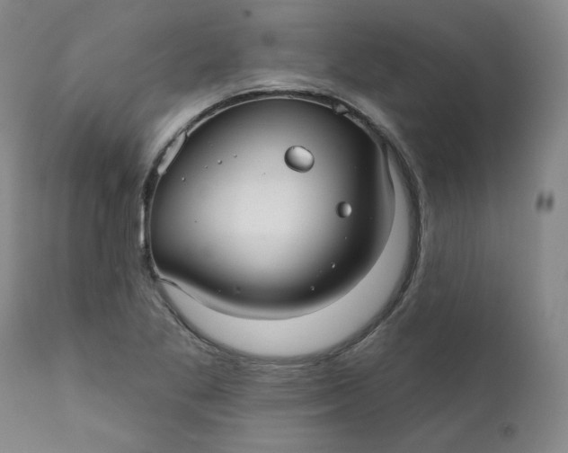 X0000112431269200909041427