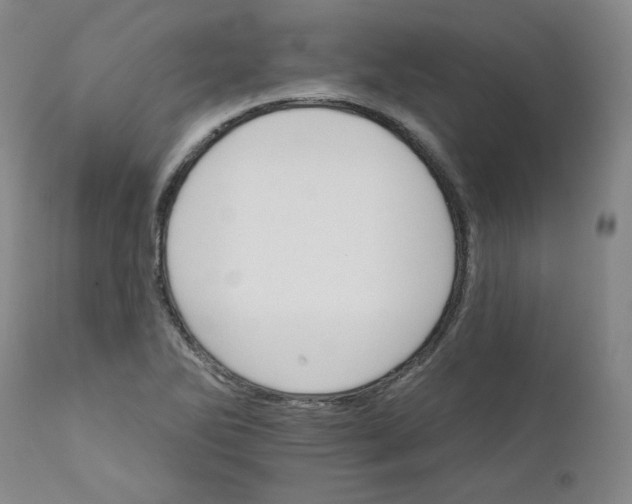 X0000112431270200909041427