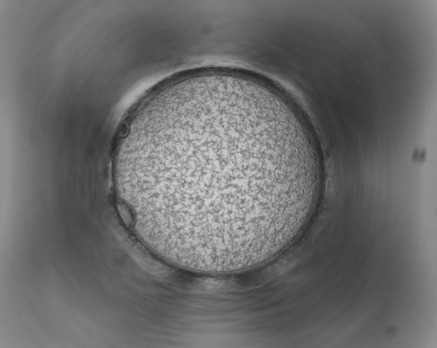 X0000112431271200909041427