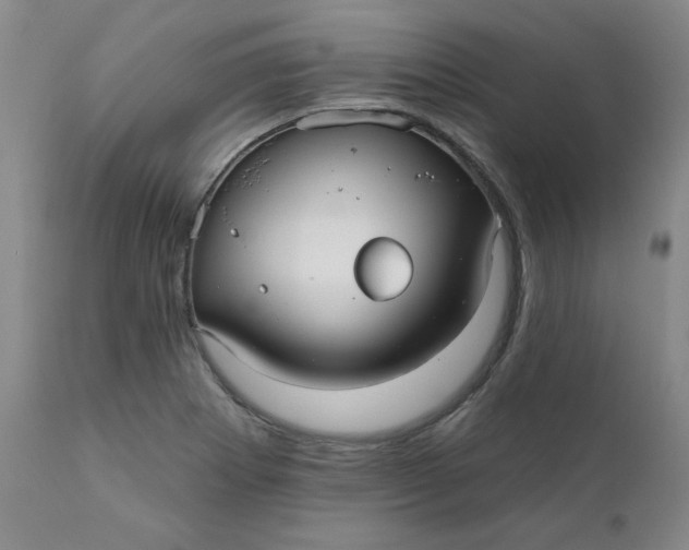 X0000112431273200909041427